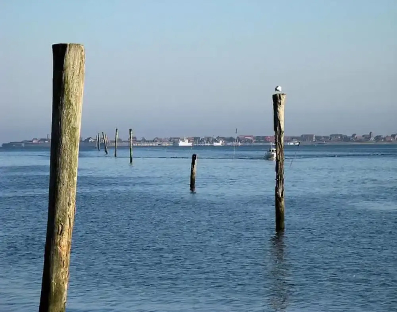 Doppelhaushaelfte mit Windgeschuetzter Terrasse