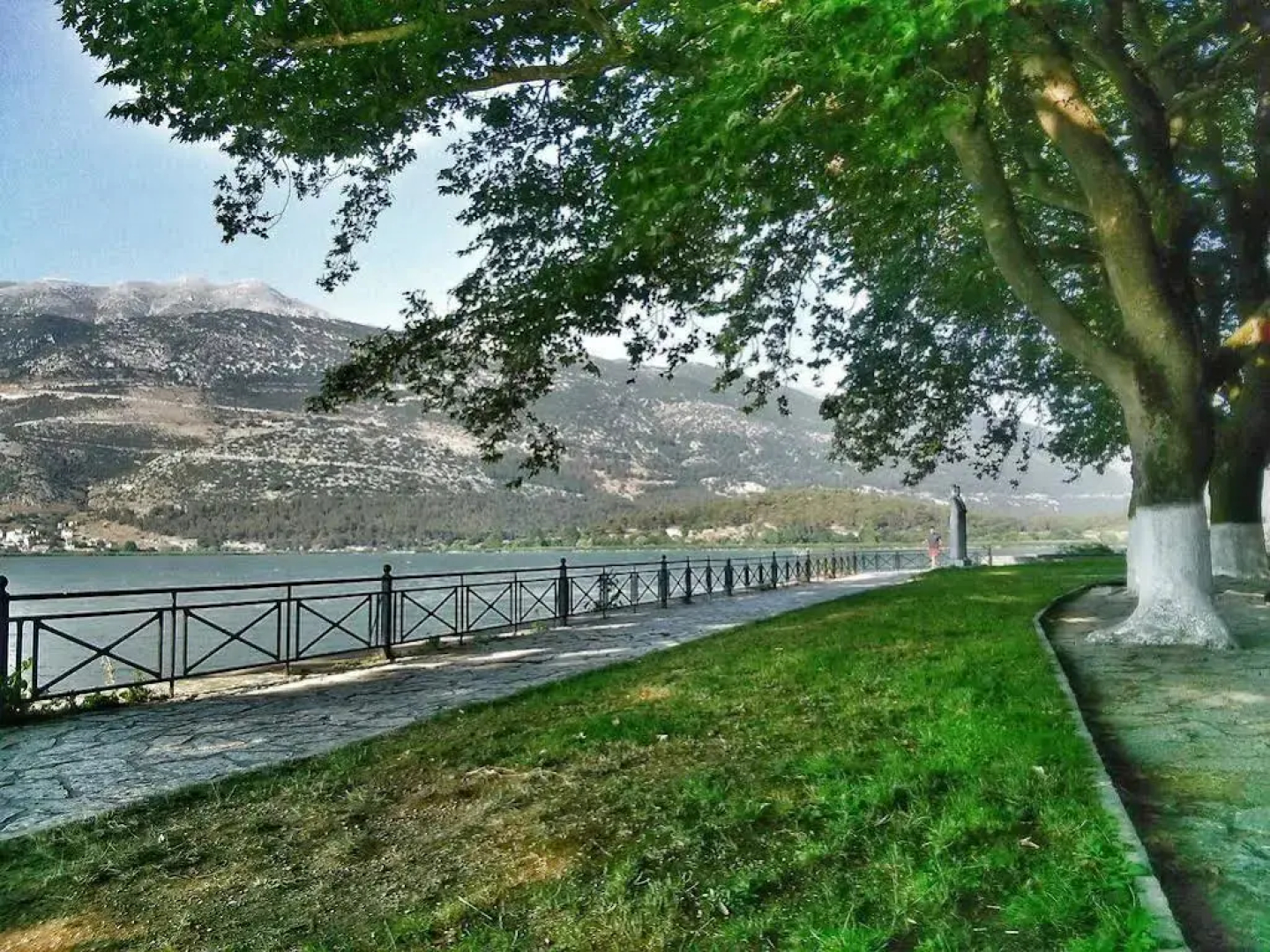 Anemolia Resort