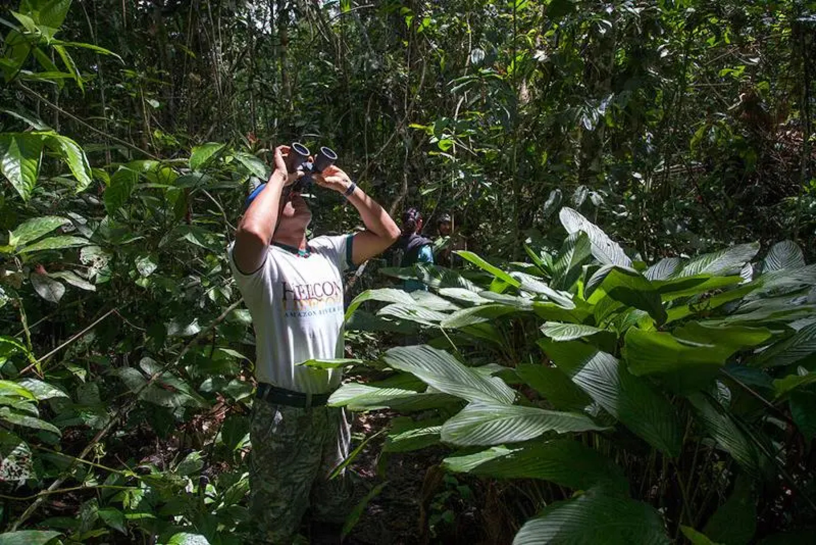 Heliconia Amazon River Lodge