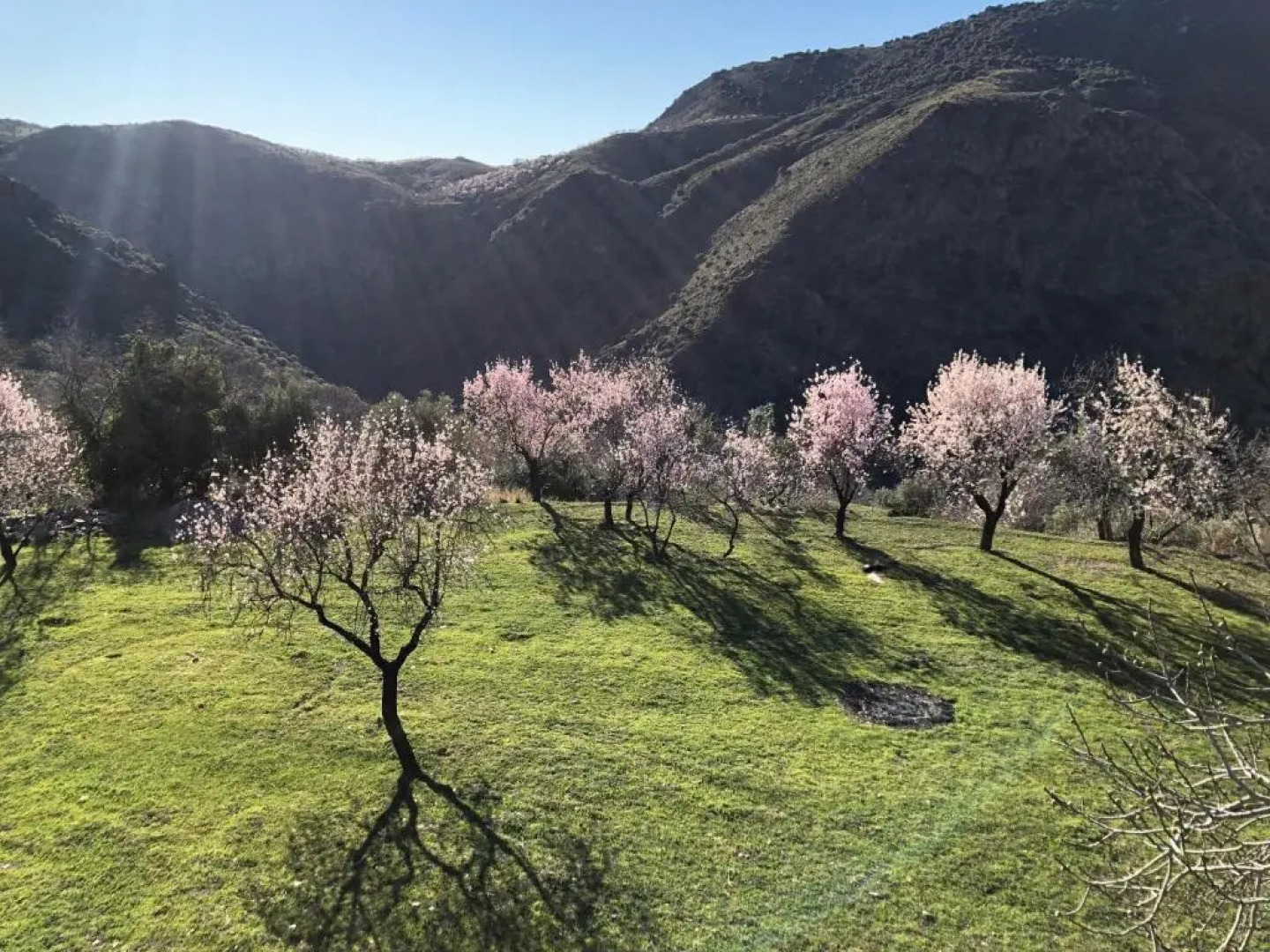 Spectacular view, authentic house, exquisite area.