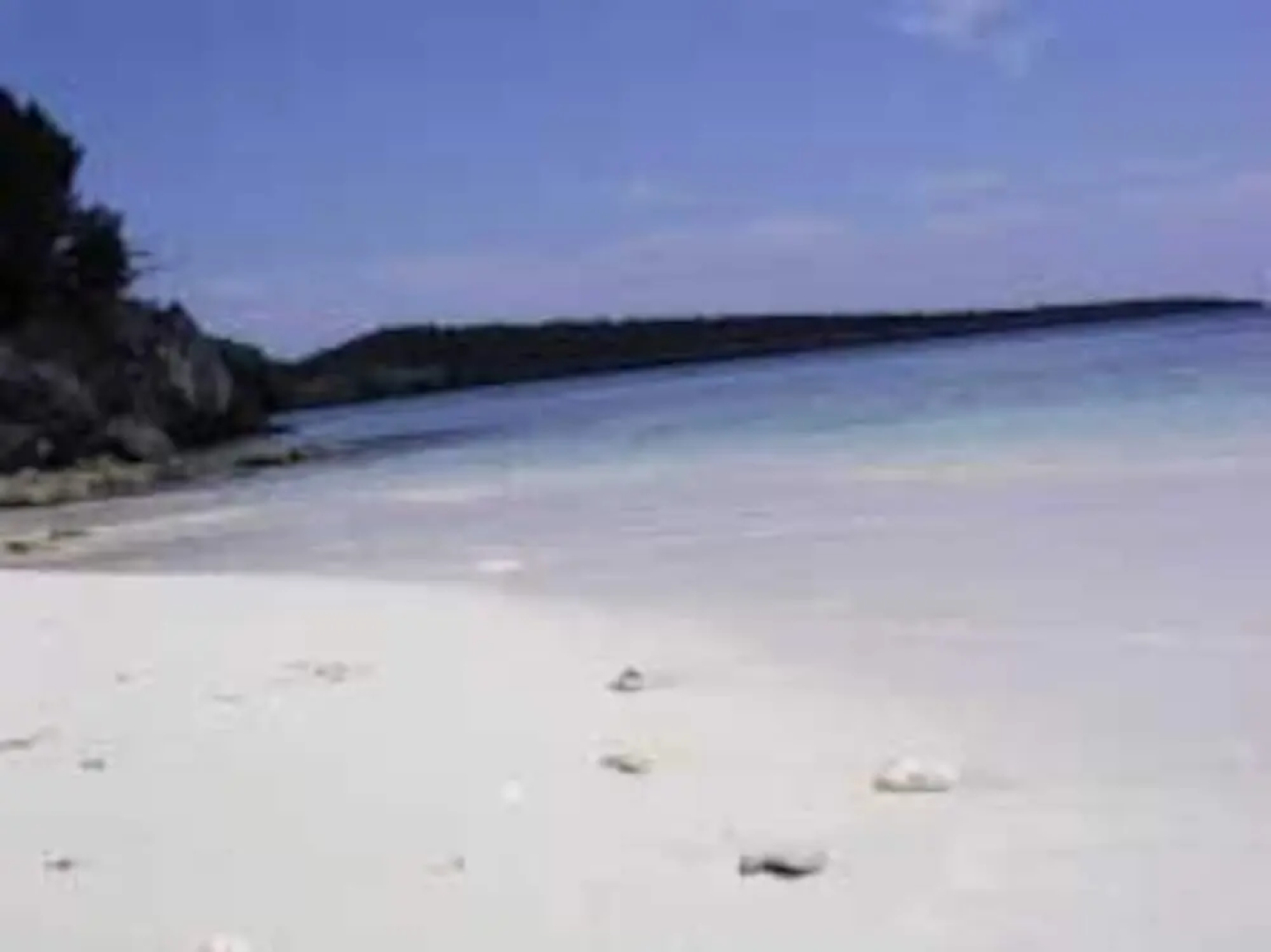 Bonaire Fun Apartments