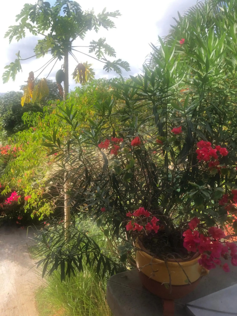 Bel appartement dans écrin de verdure