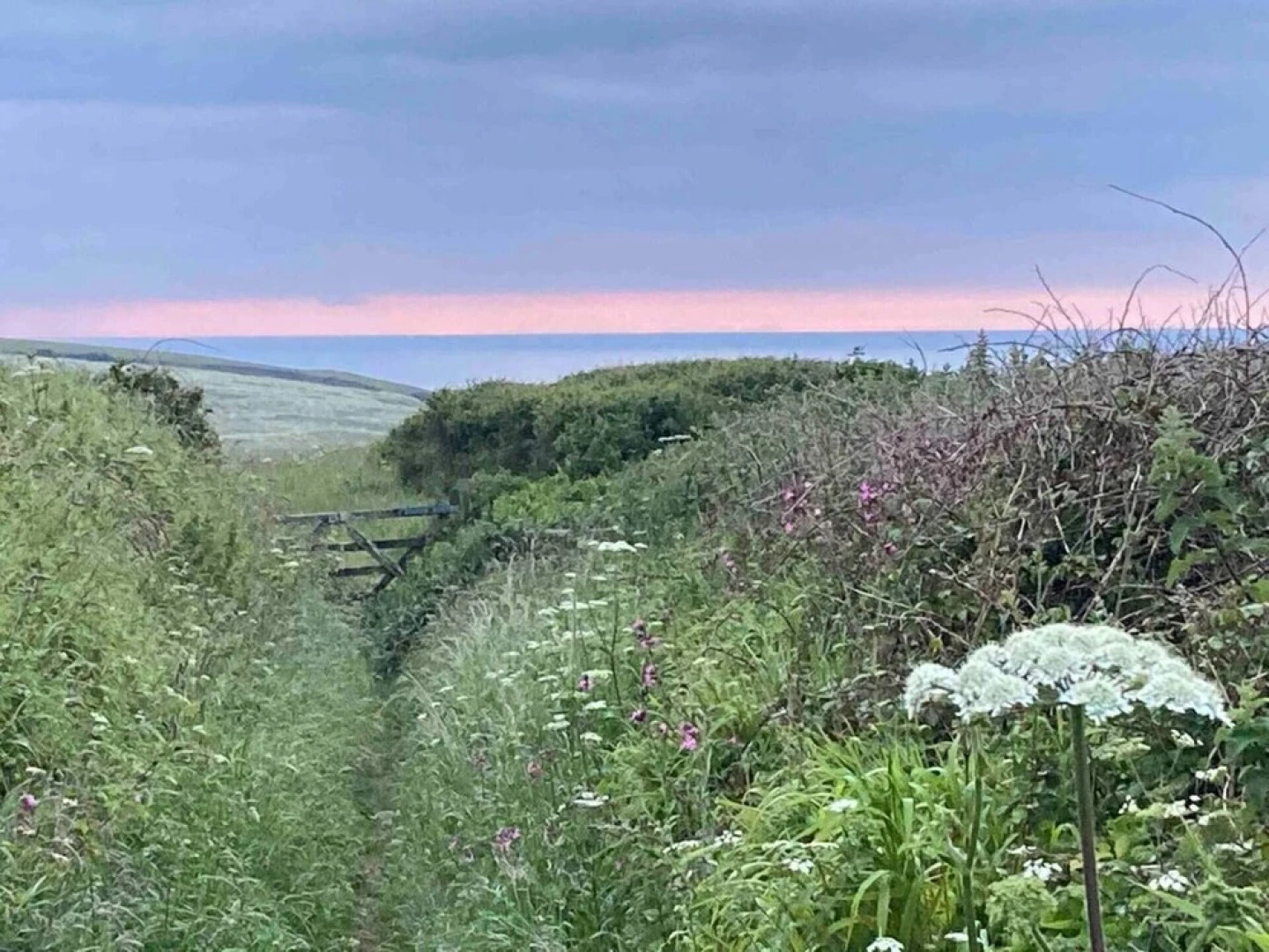 Cosy Classy 2-bed Maisonette, Village nr Newquay