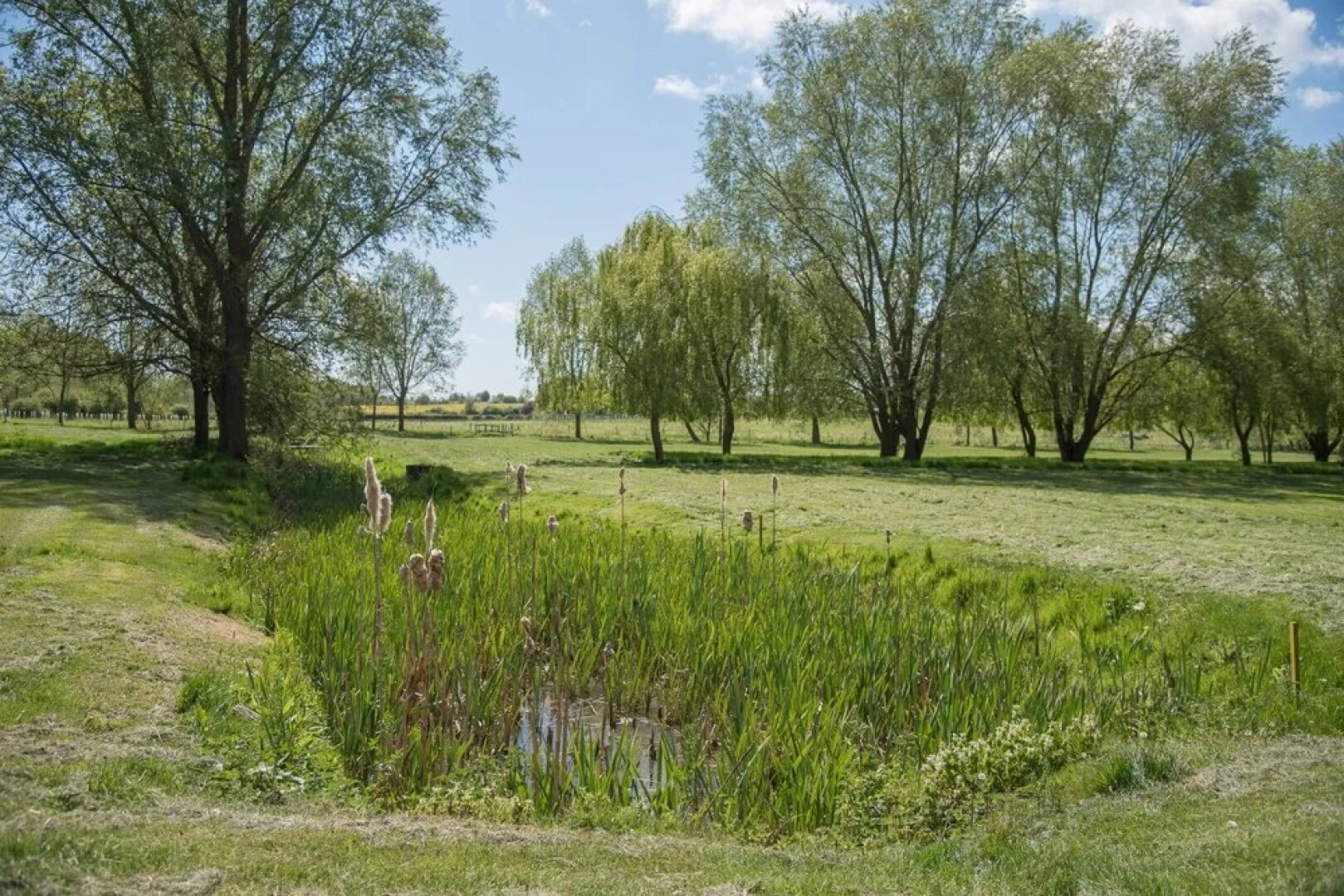 Ash Lodge With Hot Tub, Kingfishers