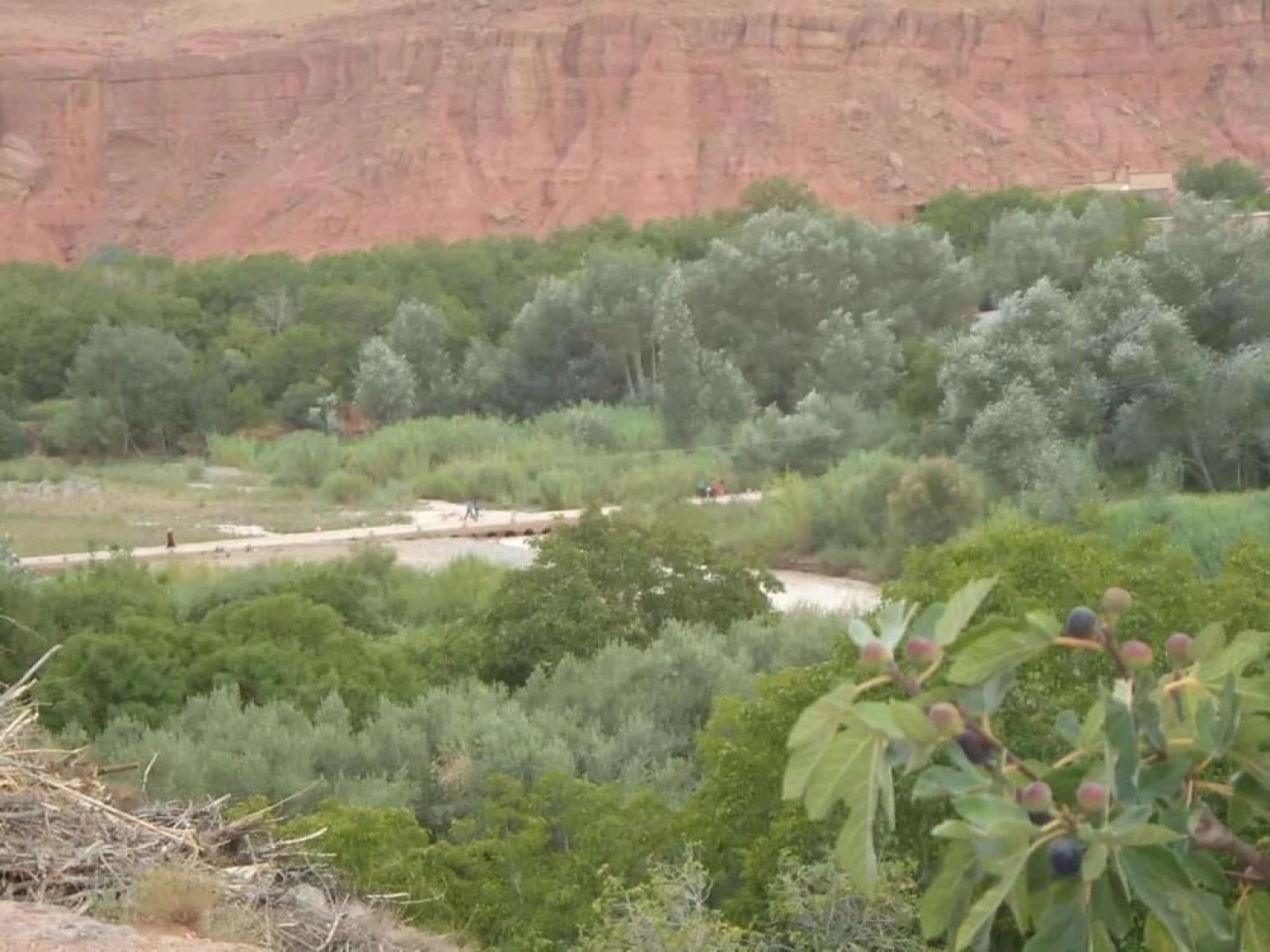 Kasbah Des Montagnes