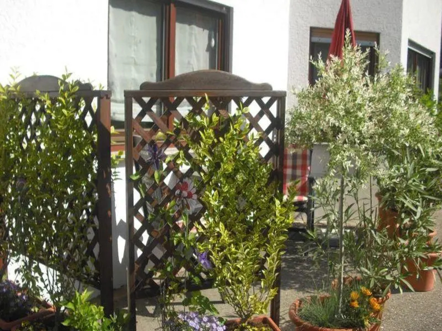 Ferienhaus Niedermättle