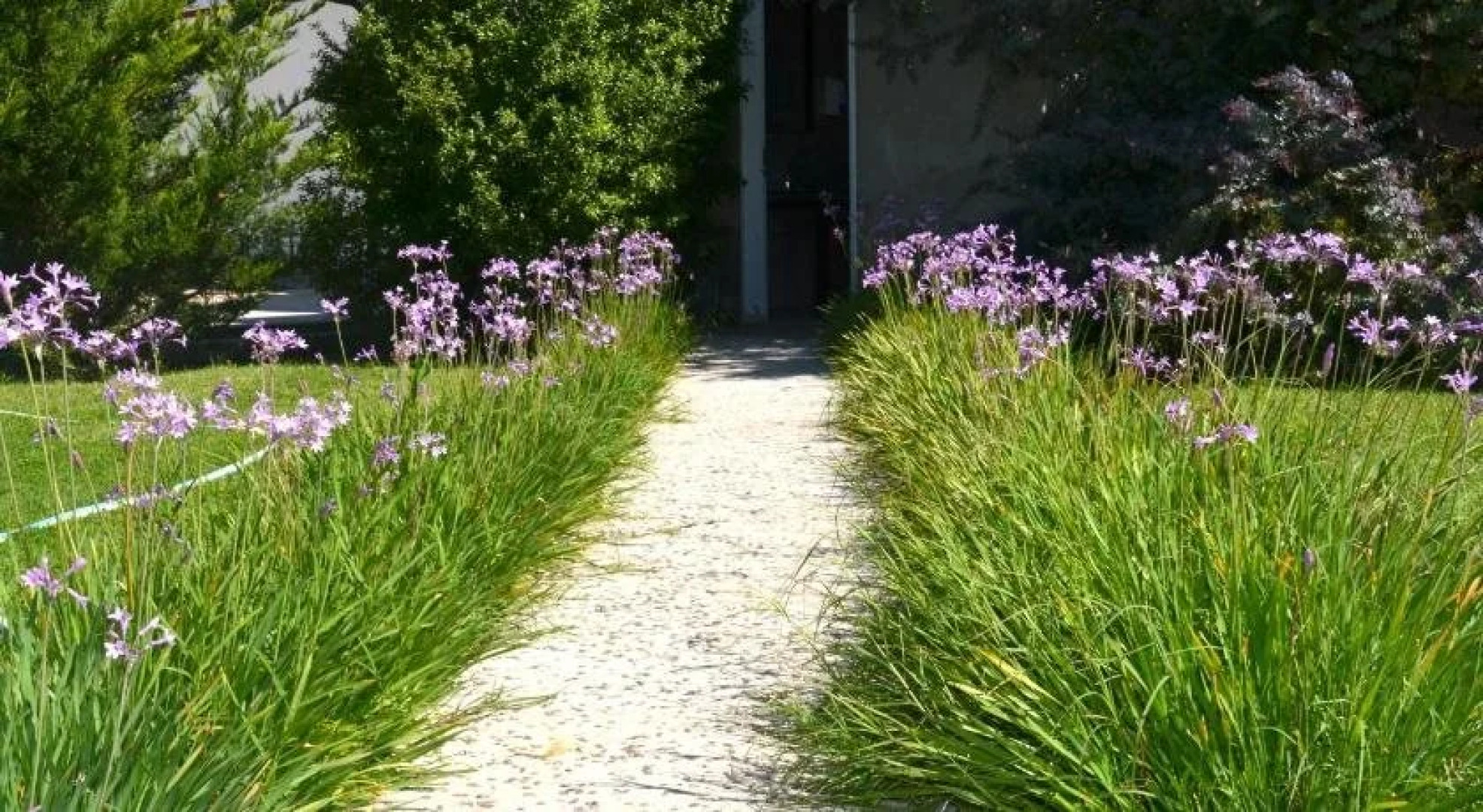 Epecuen Hotel & Spa Termal