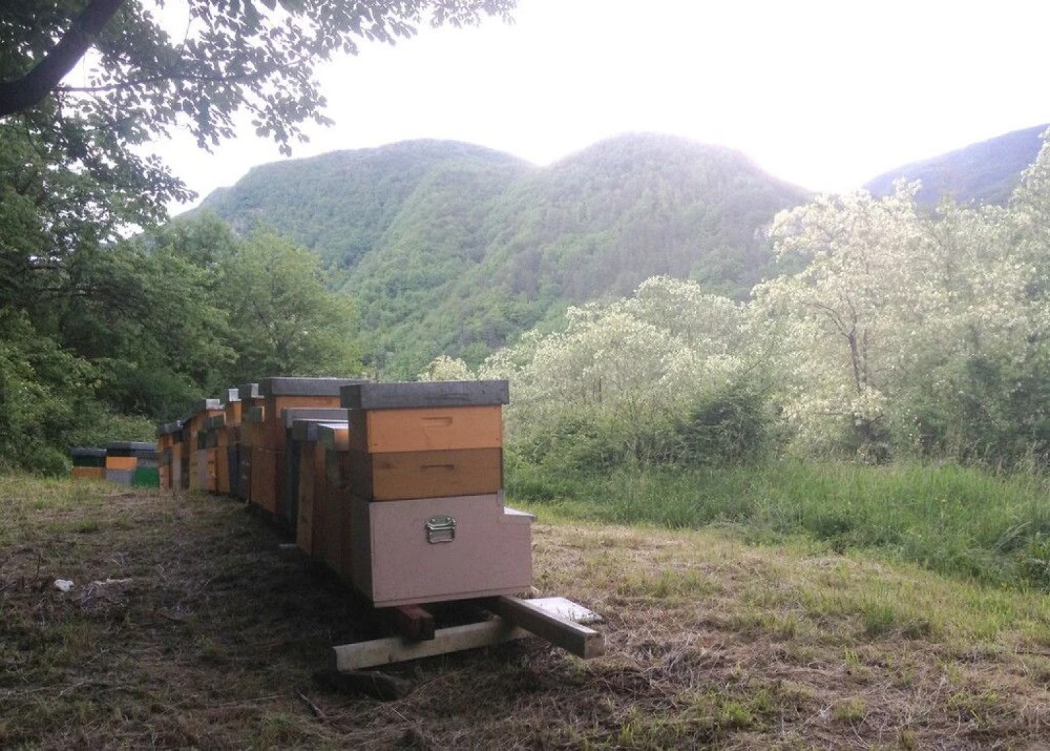 B&B Maretti Marco