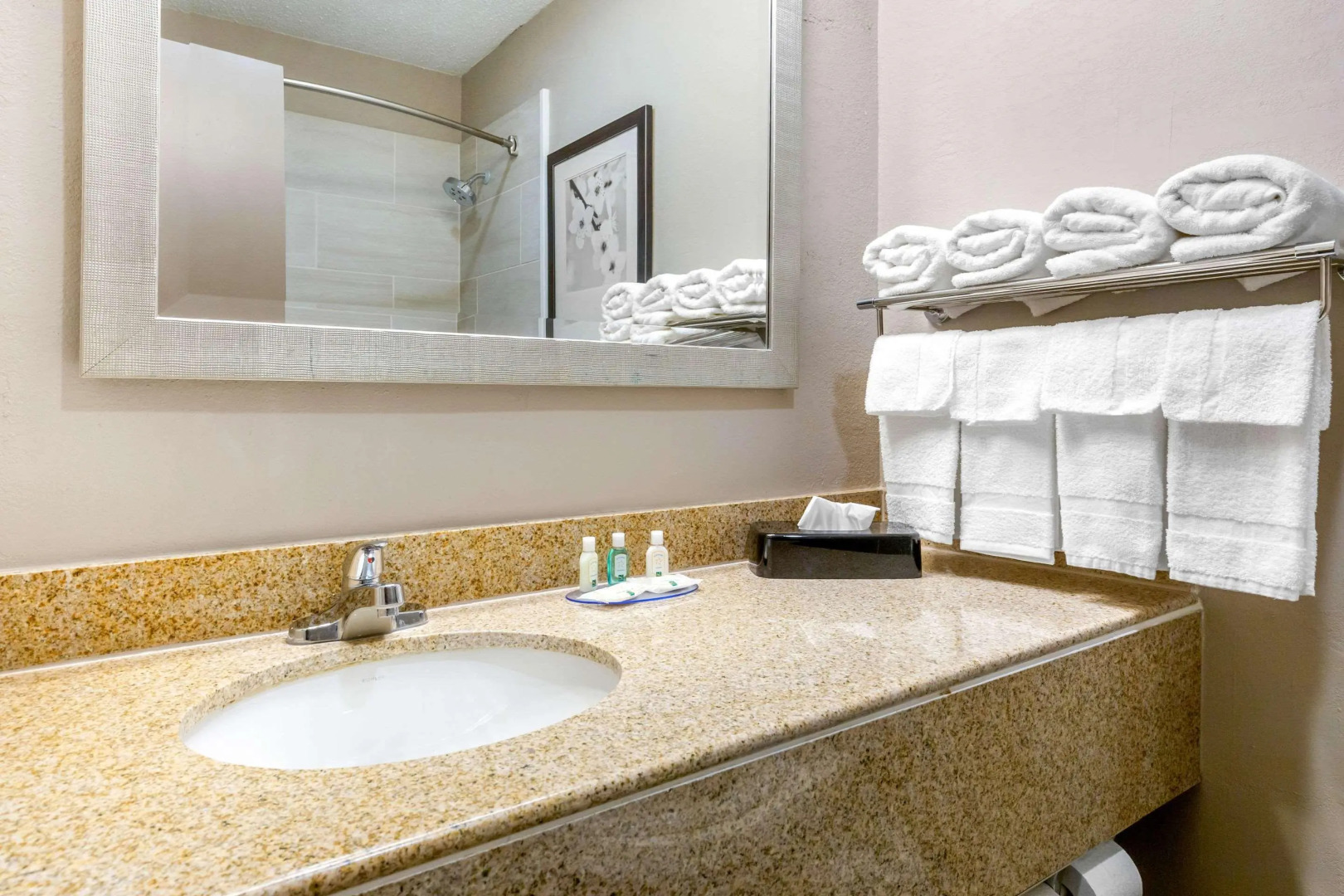 Quality Inn & Suites Apex - Holly Springs