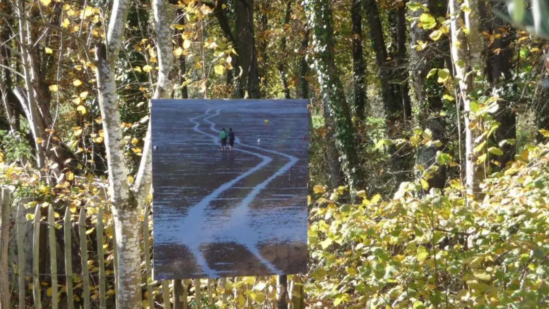 Le Jardin aux Oiseaux