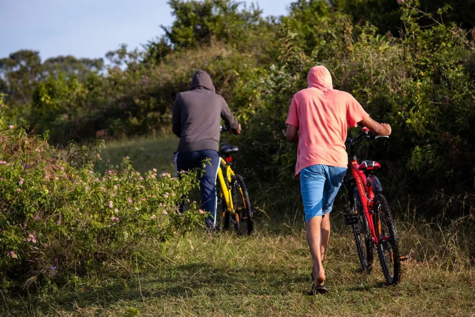 Livgrand - Yellow Lake Resorts & Spa, Yercaud - Myst