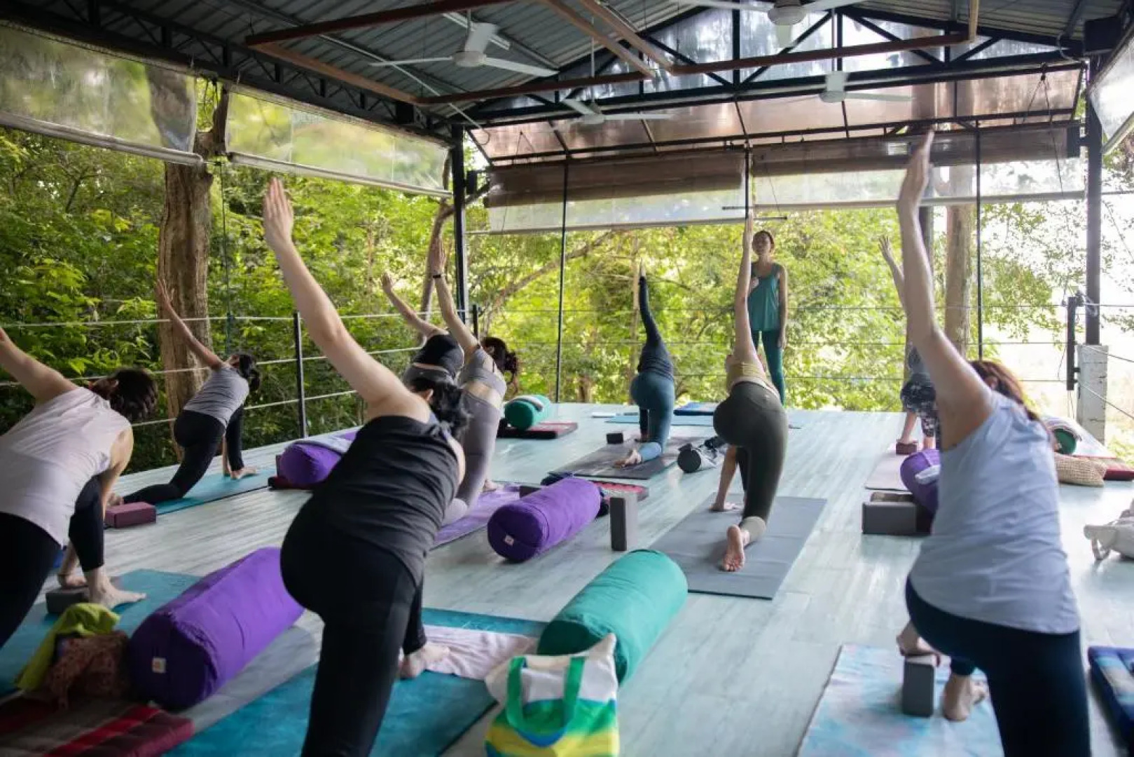 Ambong Rainforest Retreat