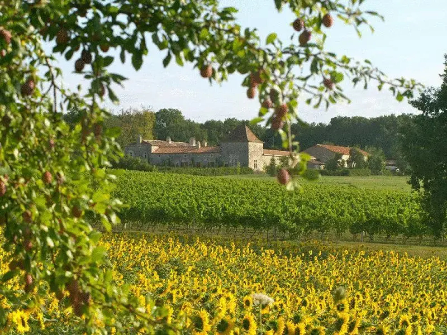 Château Des Baudry