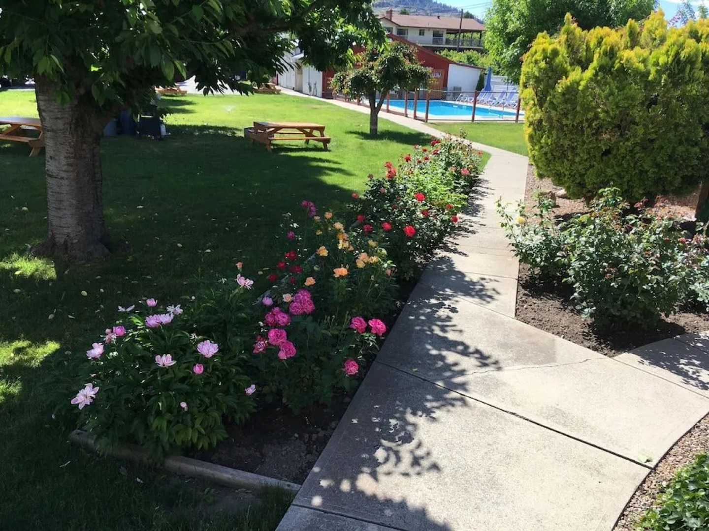 Maple Leaf Motel & RV Resort