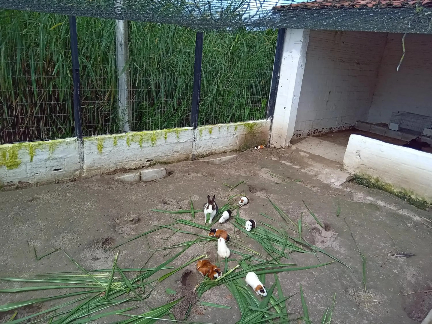 Villa Hípica Resort