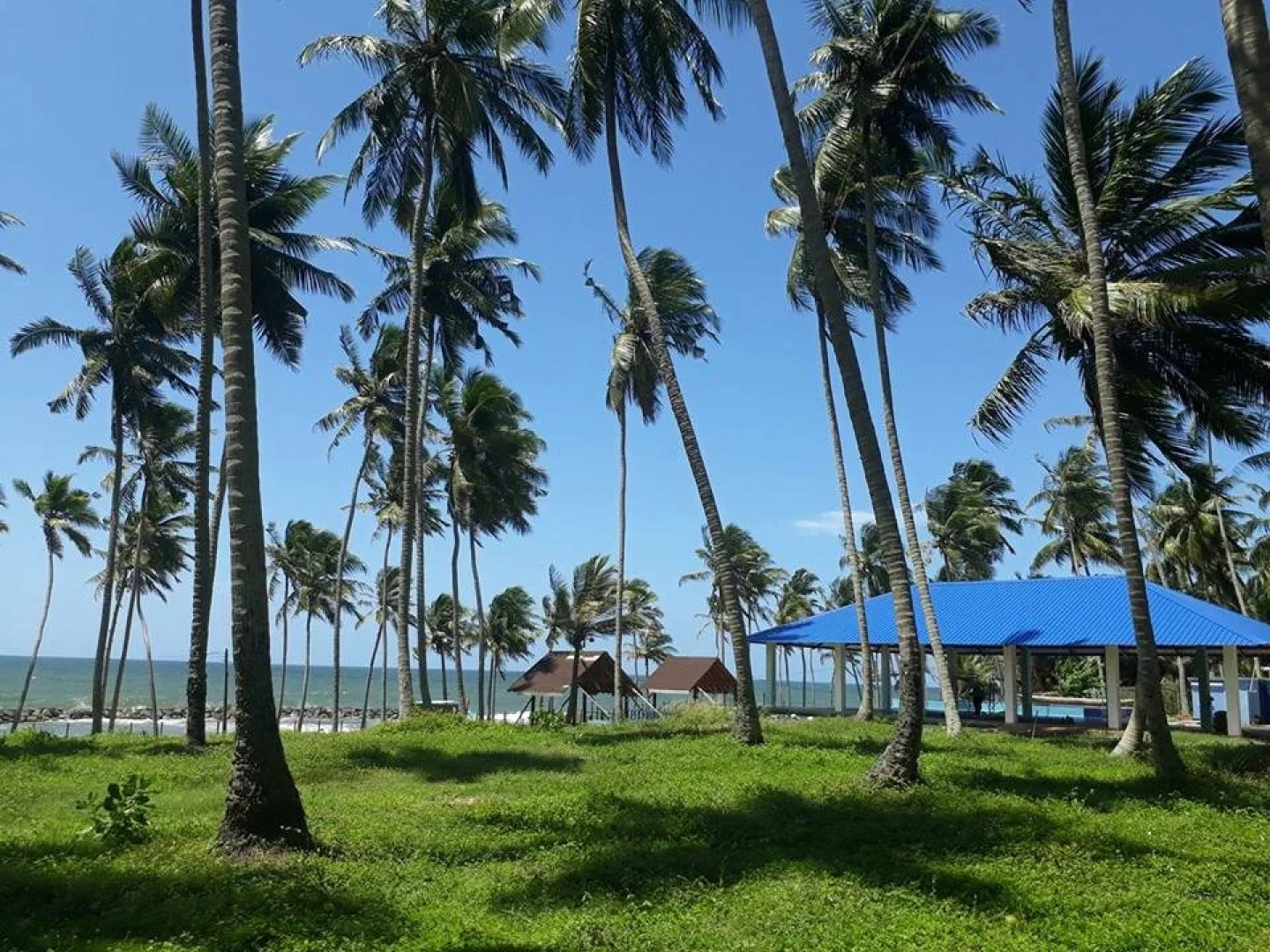 Blue and Green Resort