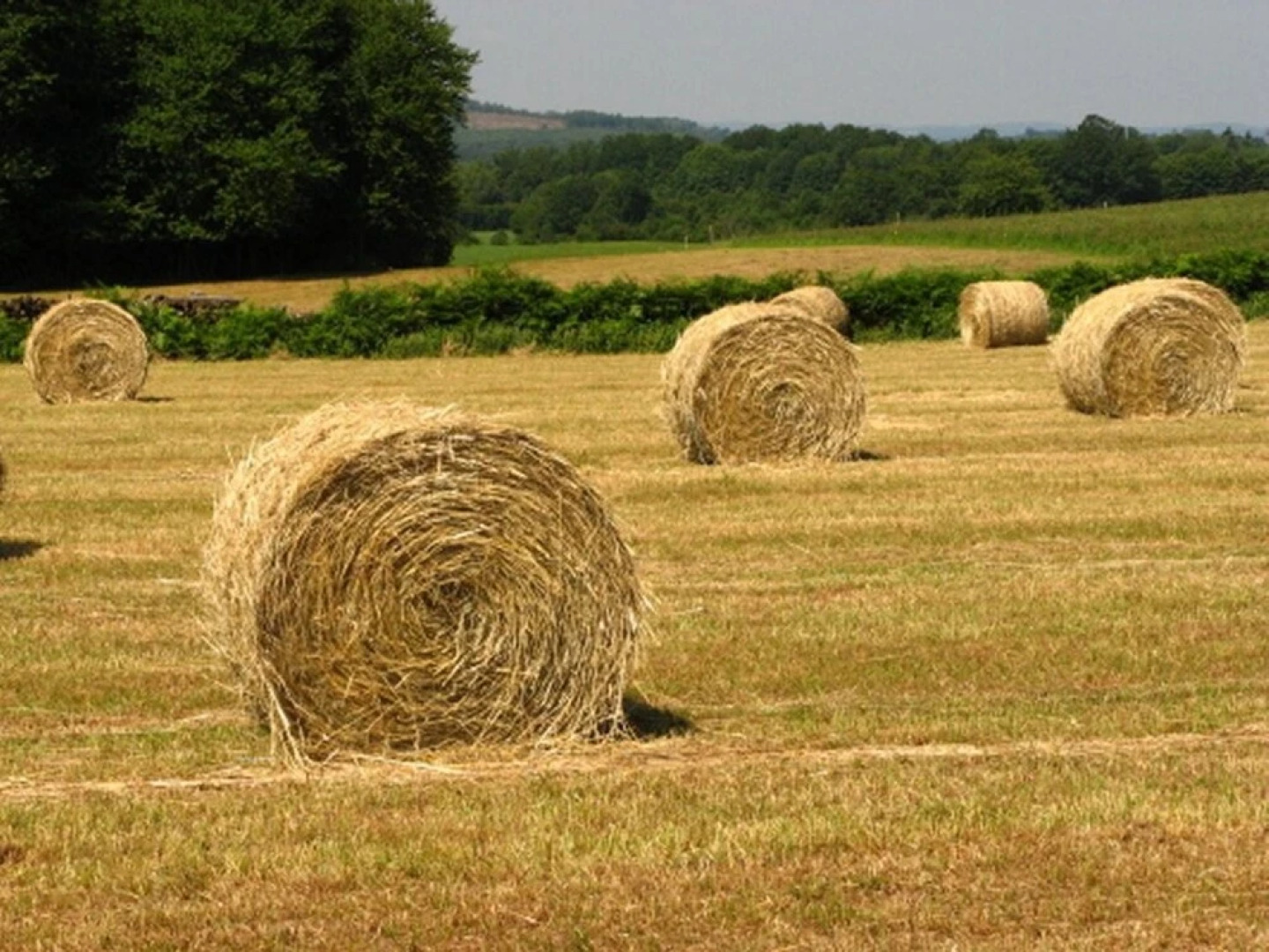 House With 2 Bedrooms in Saint-colomb-de-lauzun, With Pool Access, Ter