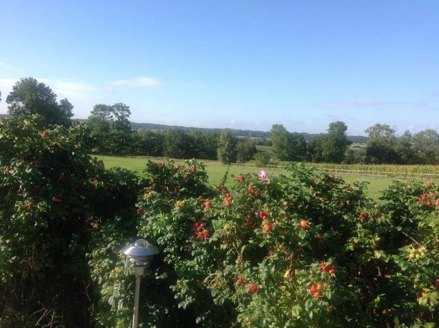 Beringgaard Bed and Breakfast