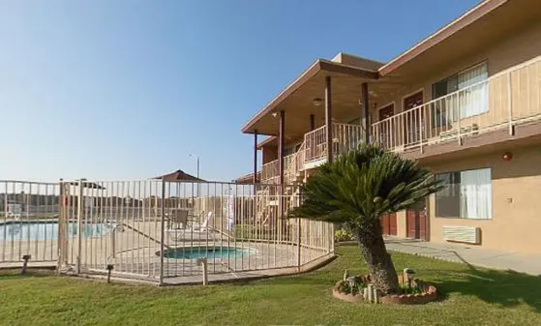 Super 8 Lindsay Olive Tree