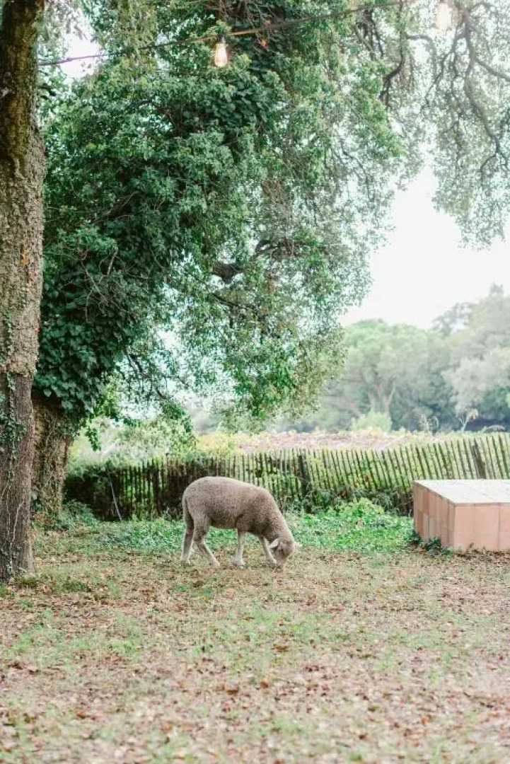 Relais Du Vieux-Sauvaire