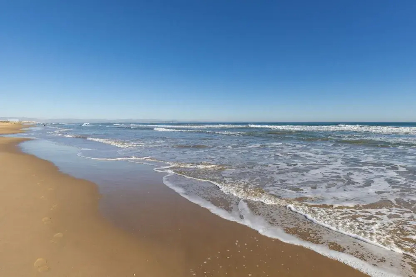 Coral Seashell Ground Floor by Fidalsa