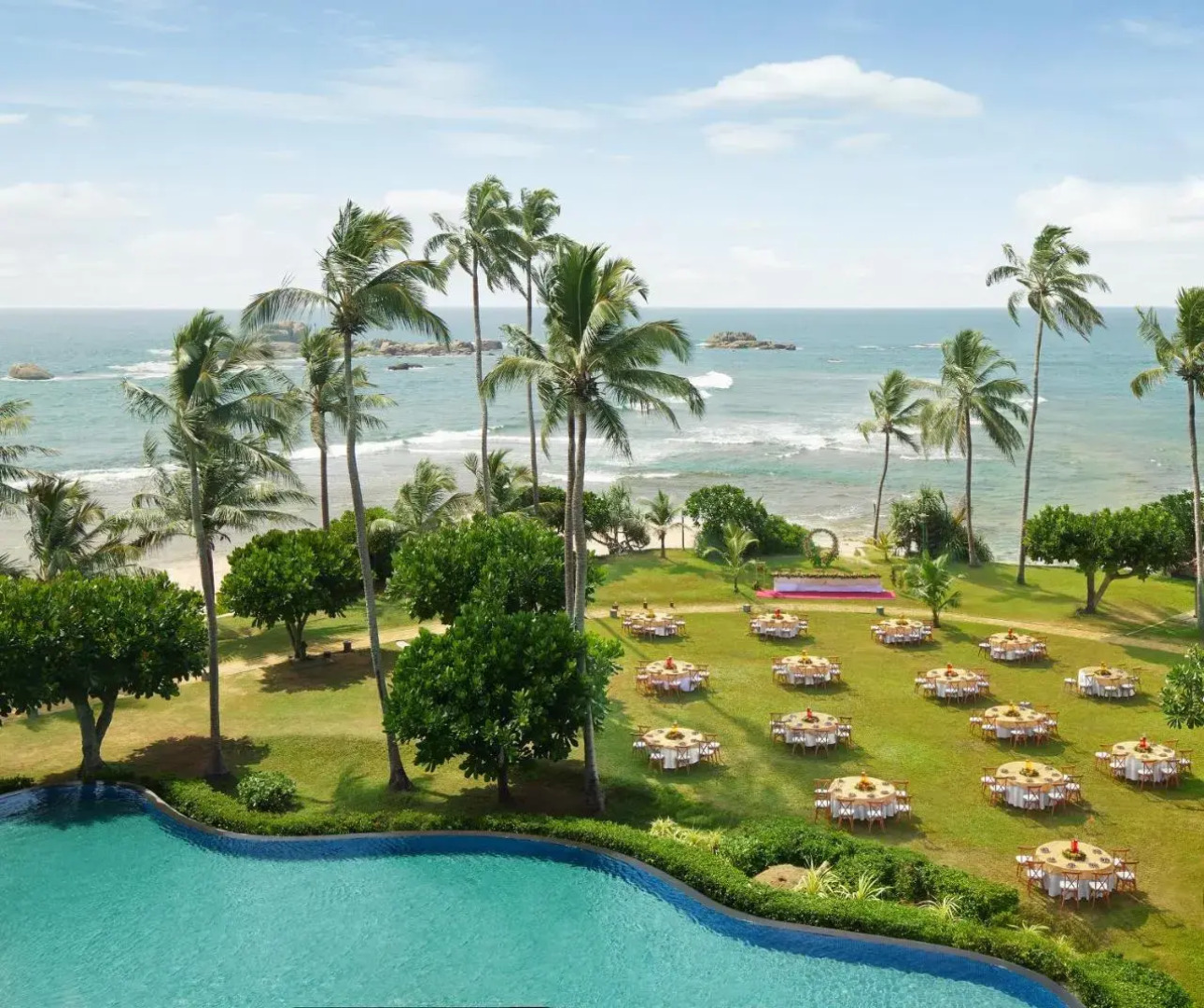 Hikka Tranz by Cinnamon