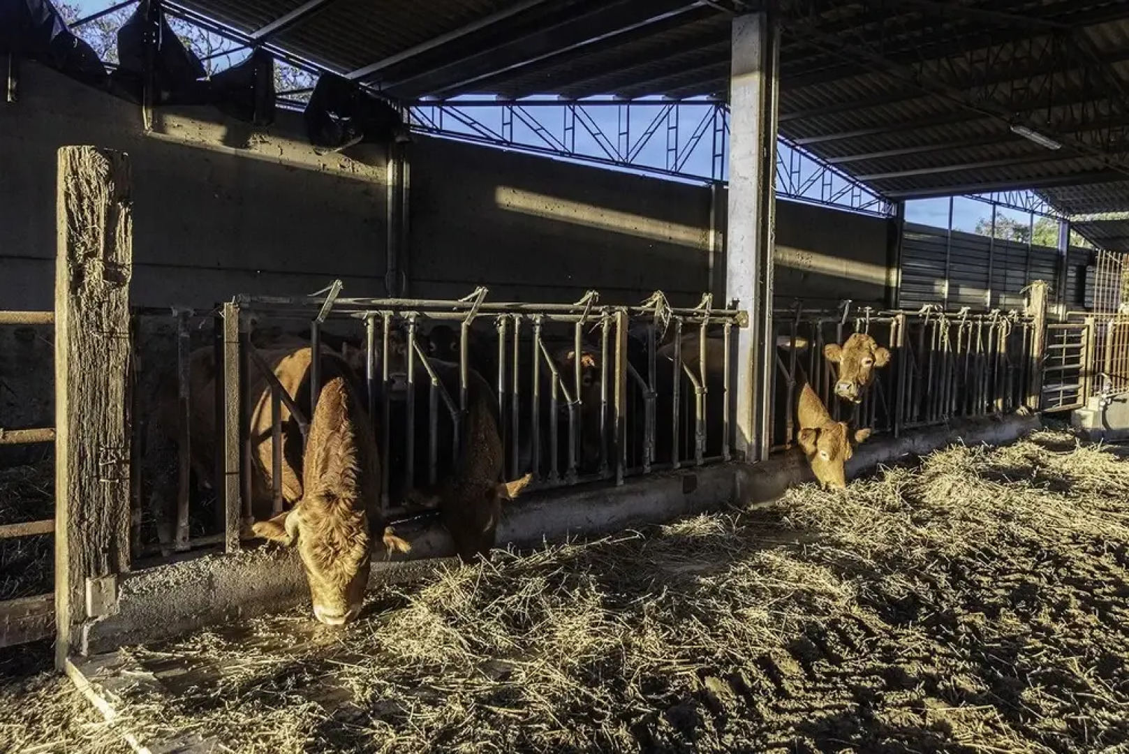 Agriturismo La Fontaccia