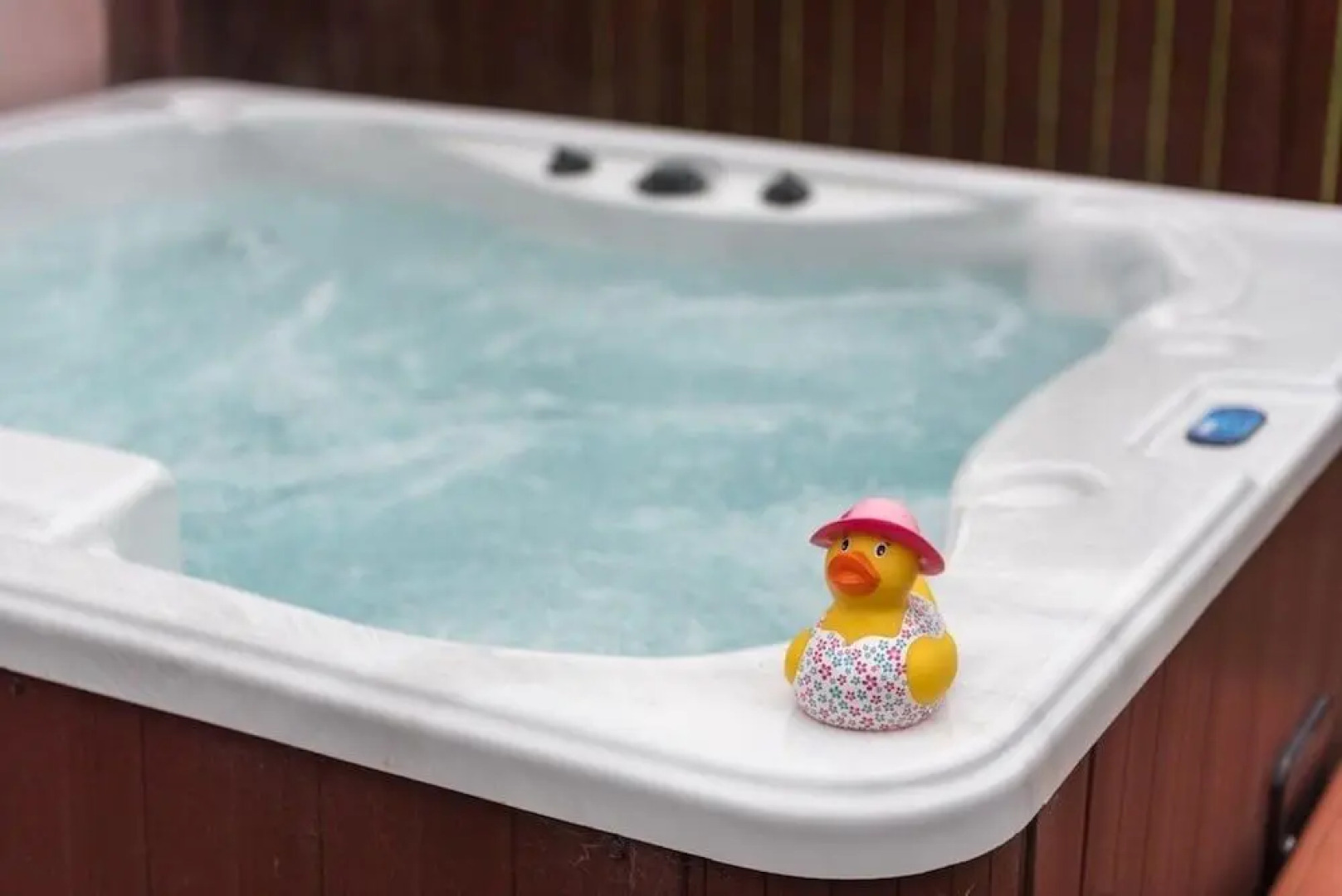 Bluebell Lodge 5 with Hot Tub