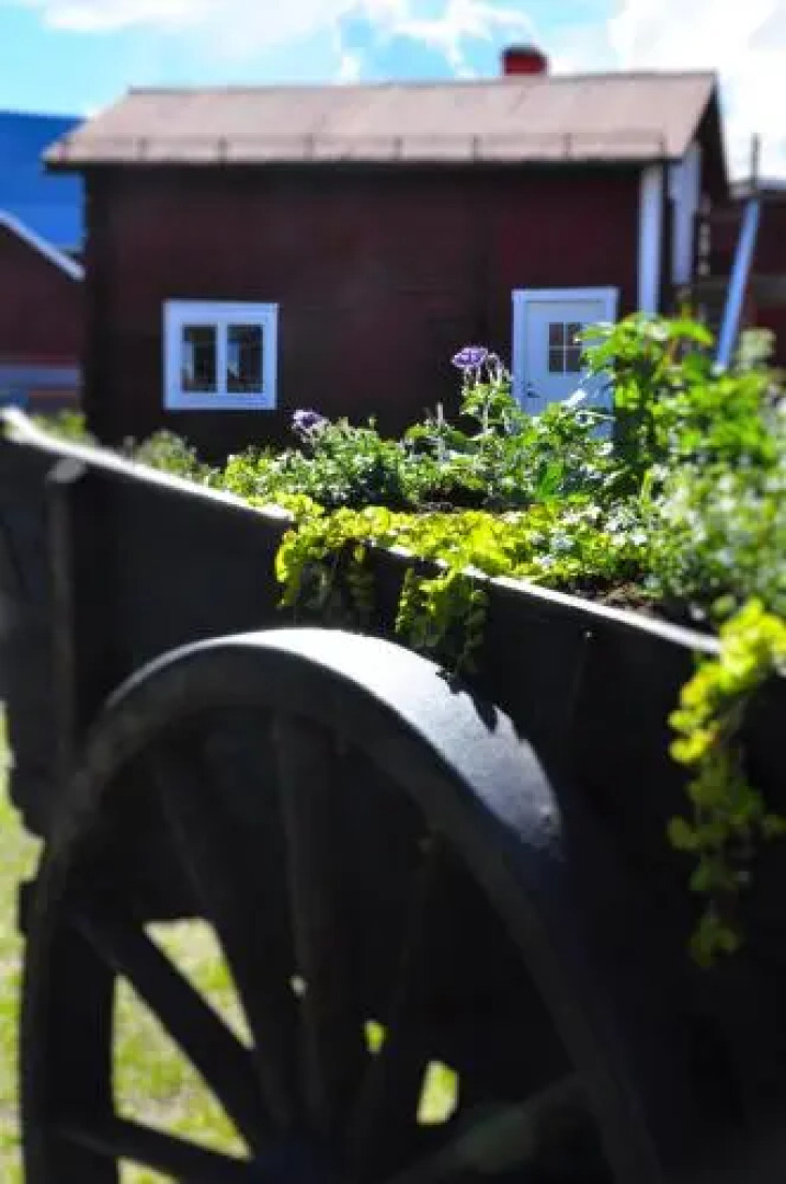 Rutsbrogården Camping (empty Lots)