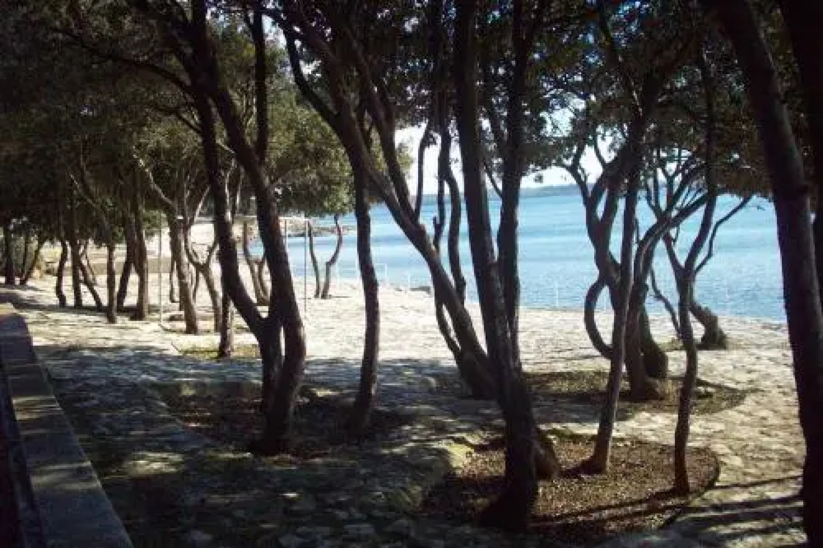 Apartmenthaus Sabine