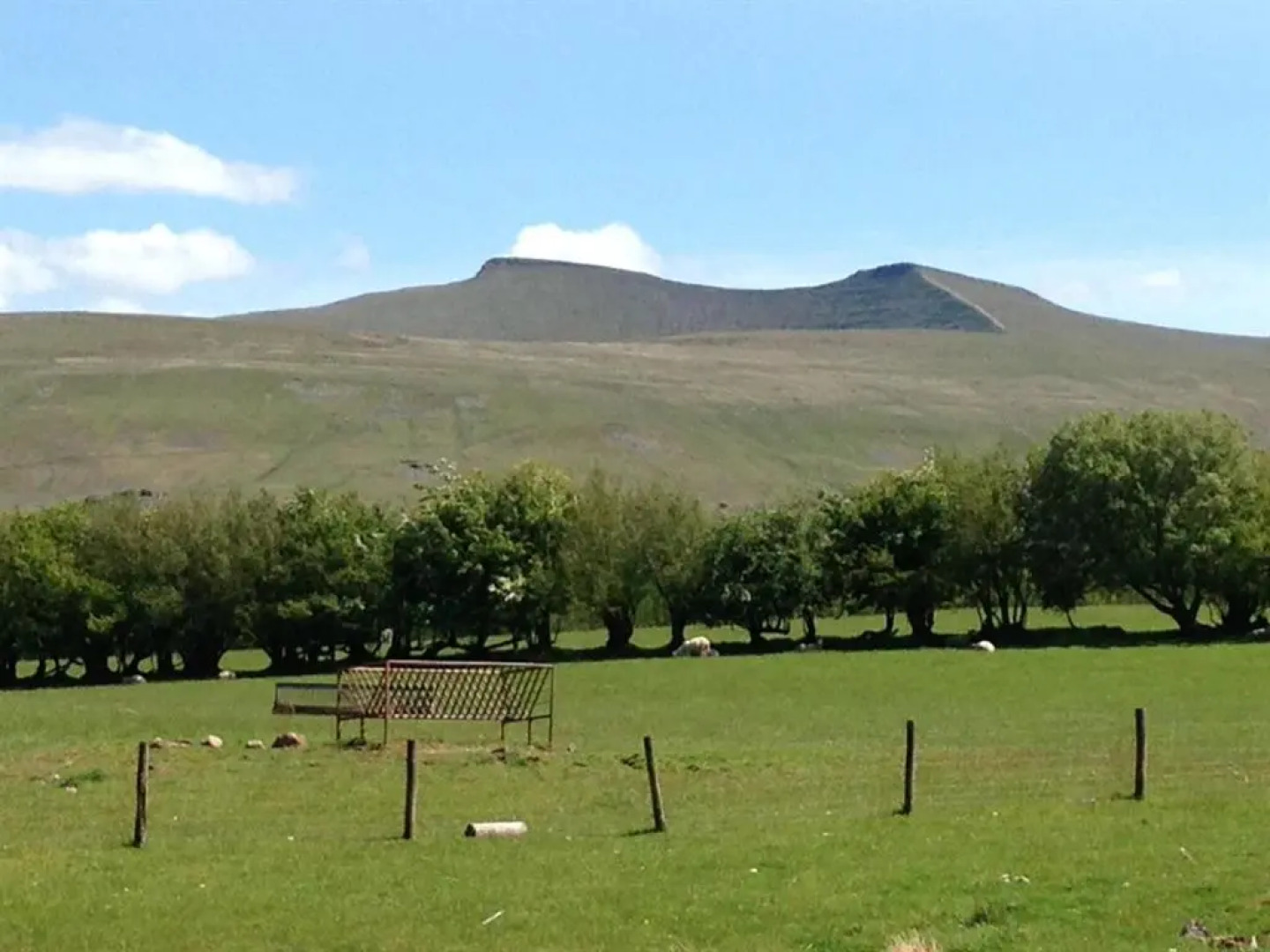 Arfryn House Bed and Breakfast