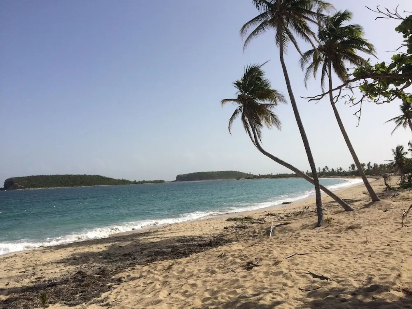 Esperanza Oceanfront Apartments