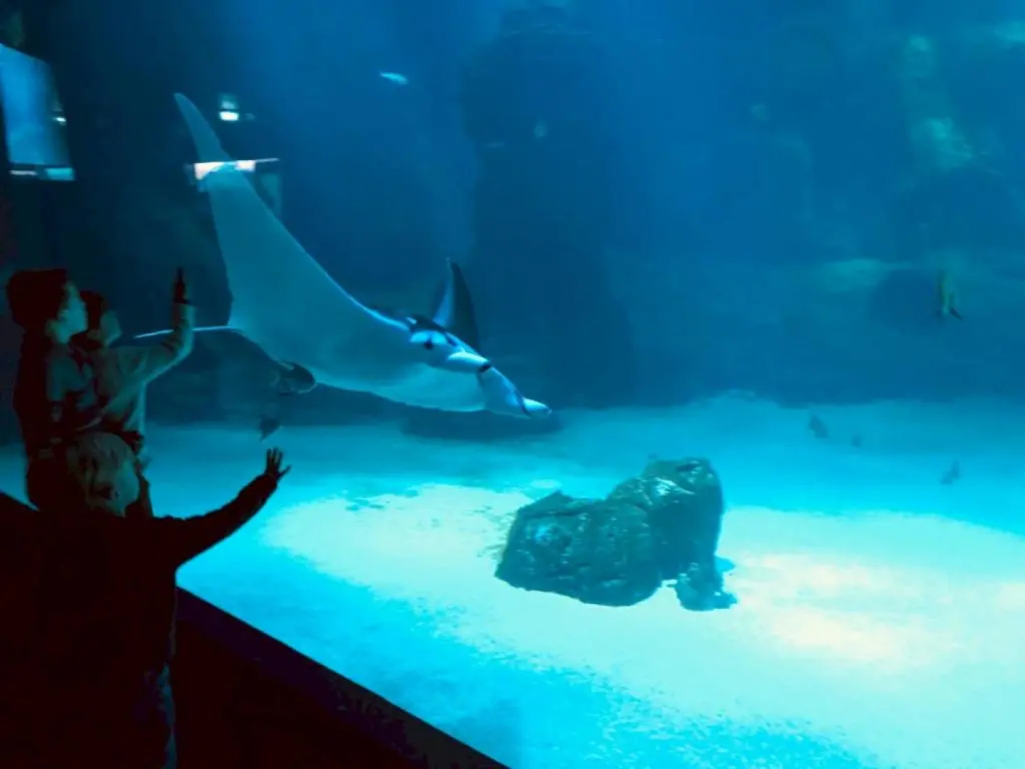 Beau Studio Neuf Proche du Centre Et de Nausicaa