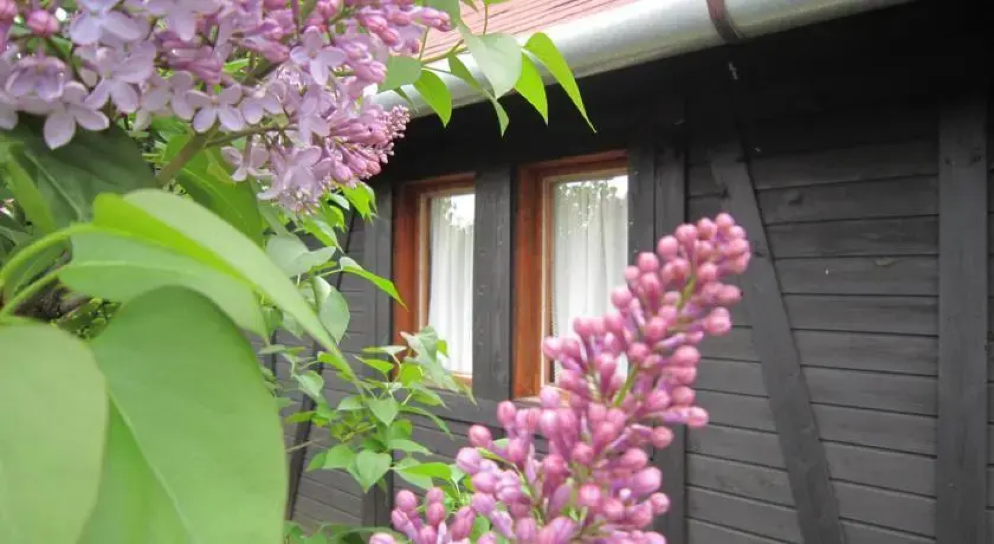 Sóstói Lovaskemping és Turistaház