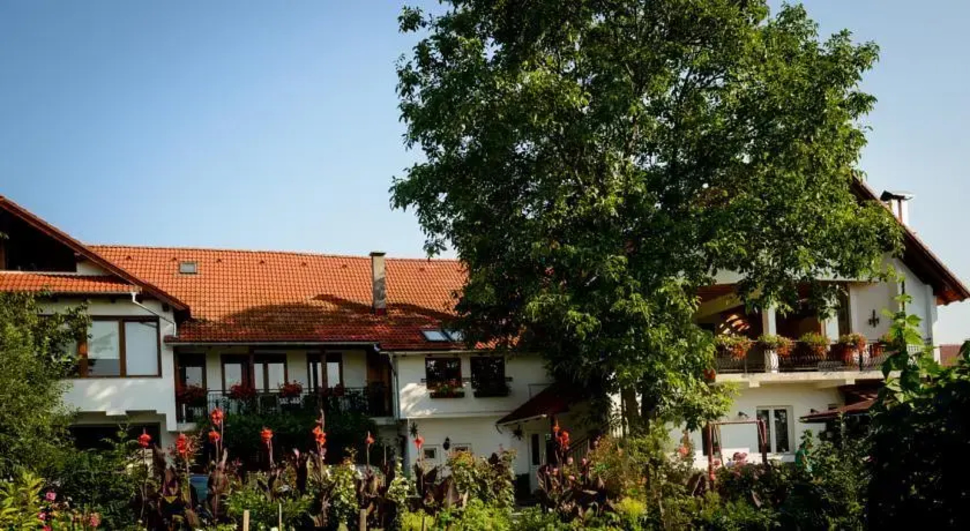 Pensiunea Tinion Zarnesti