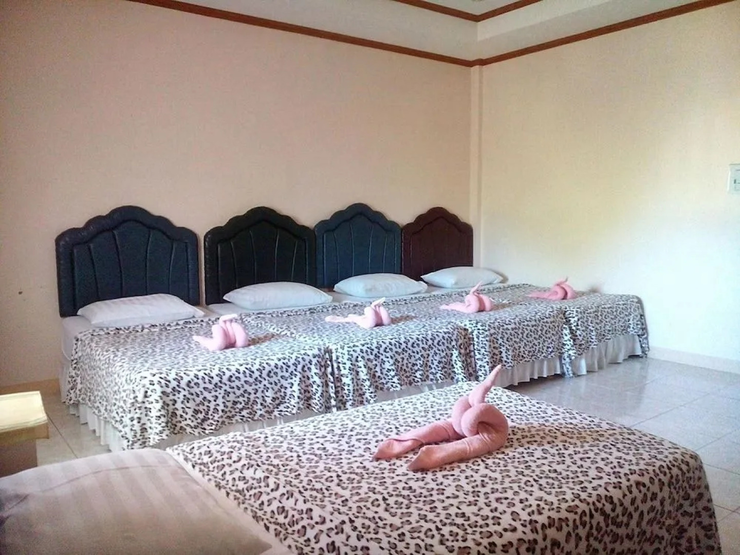 Nautilus Islands View Lodge