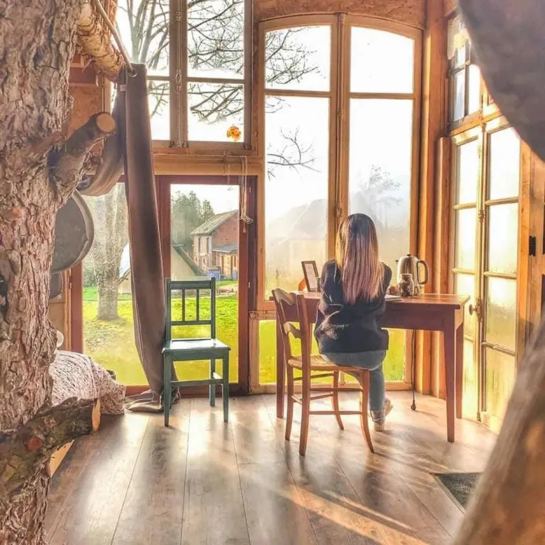 La cabane de peau d'ane