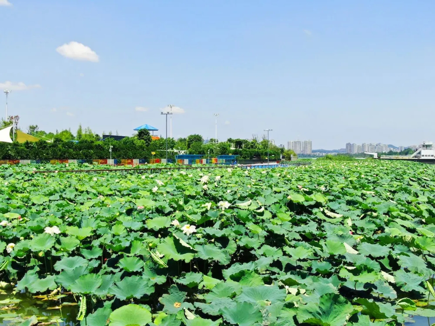 Suining Marriott Hotel