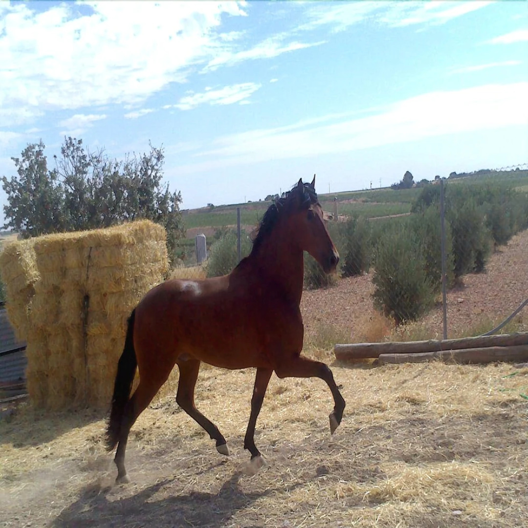 Humedales de Daimiel