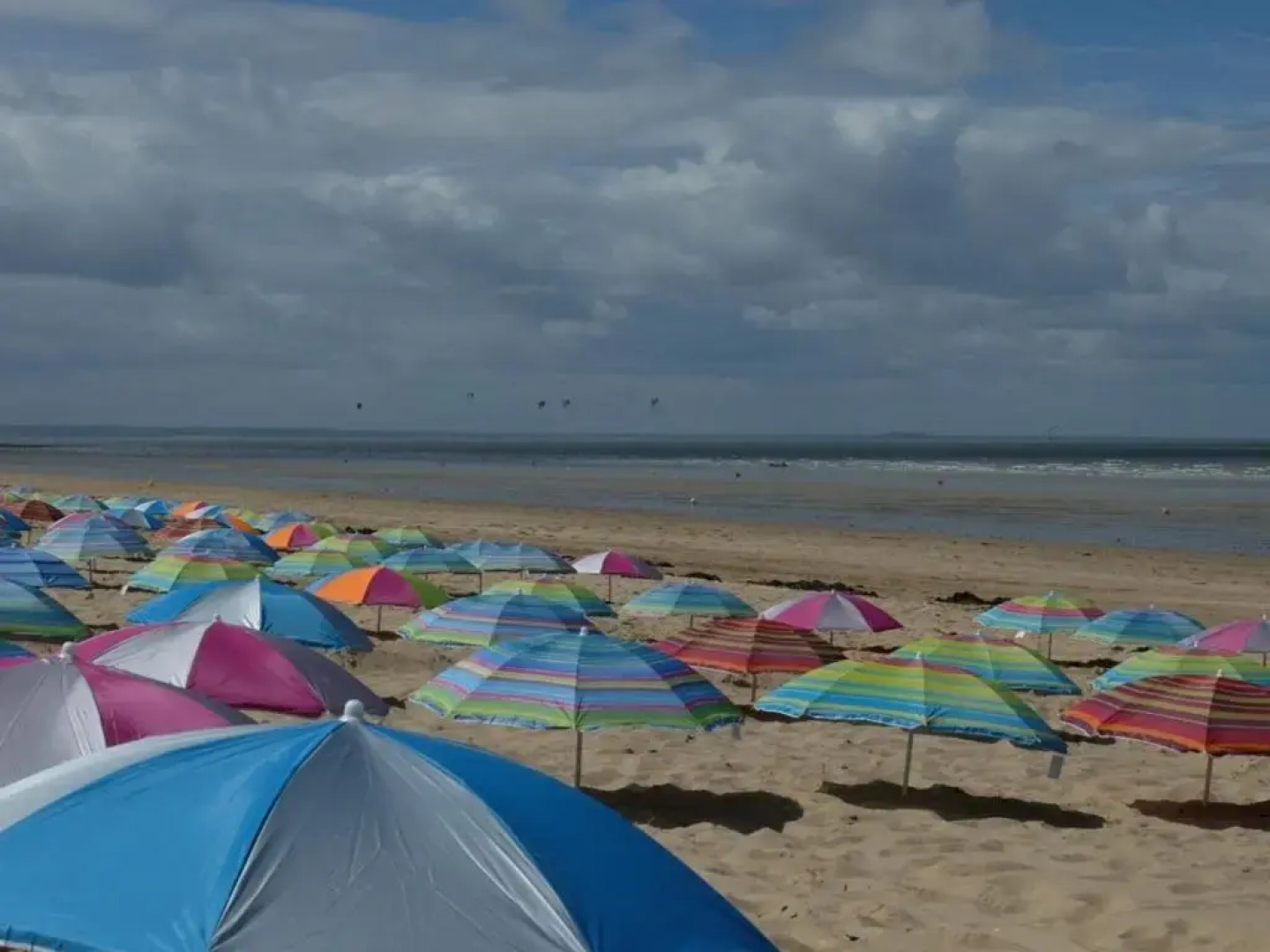 Appartement Jullouville, 2 pièces, 4 personnes - FR-1-361-111