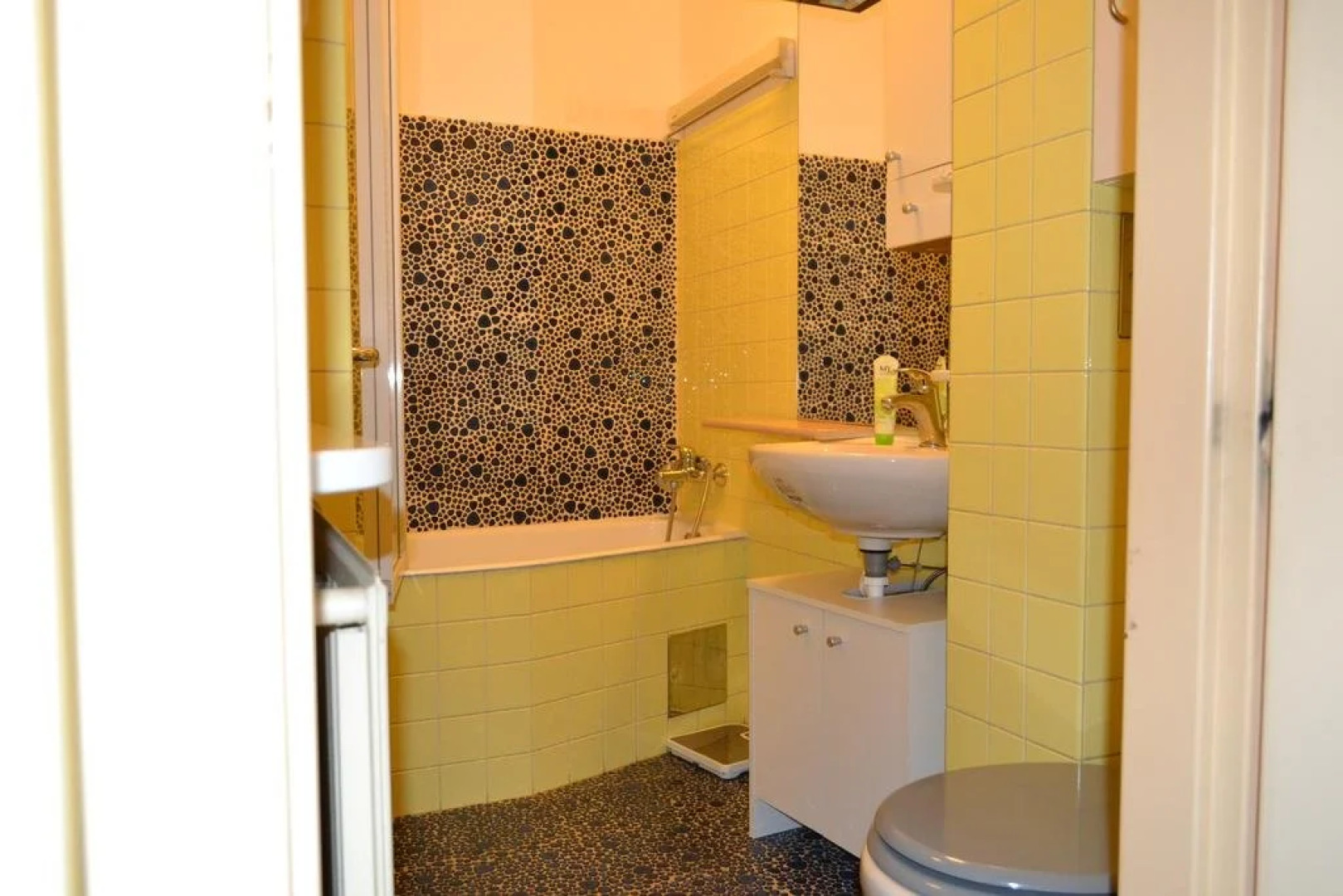 Goldfisch Apartment Vienna Opera House