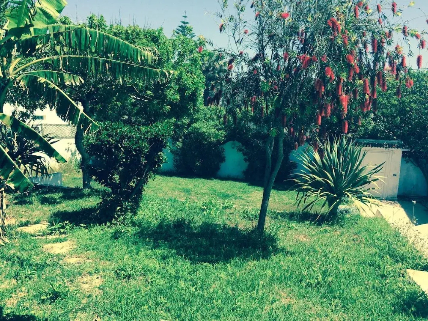 Cabanon pied dans l eau