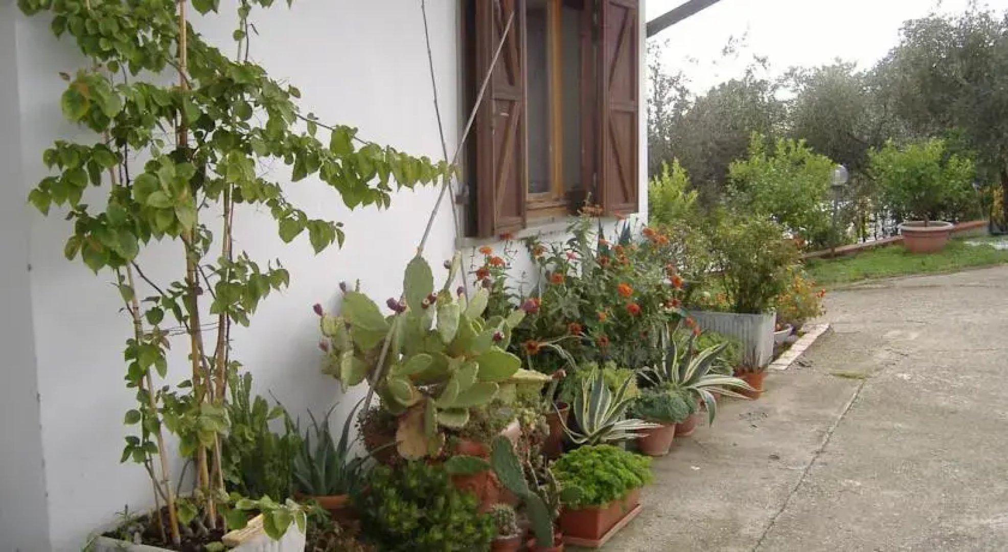 La Giada