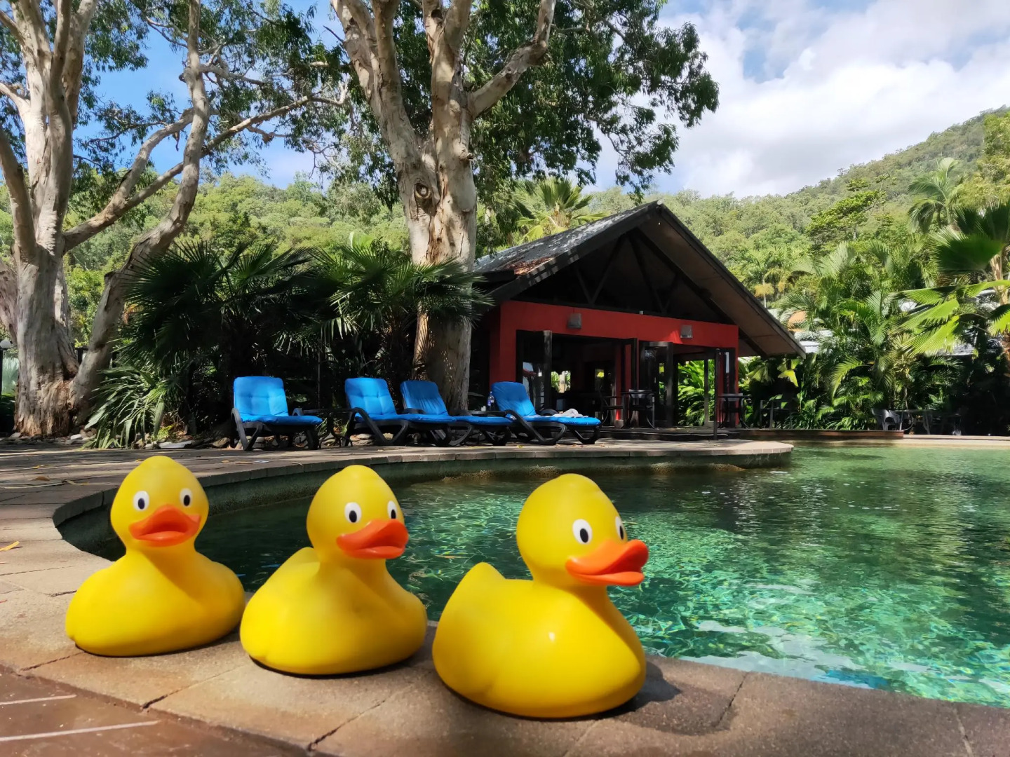 Turtle Cove Beach Resort - Adults Only