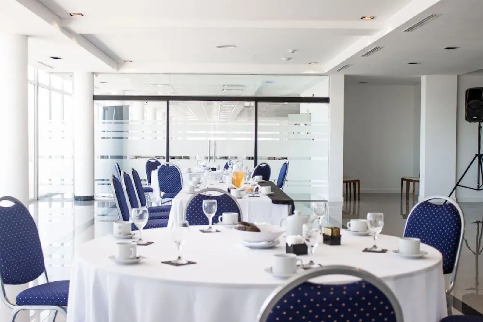 Cyan Wenelen Vaca Muerta