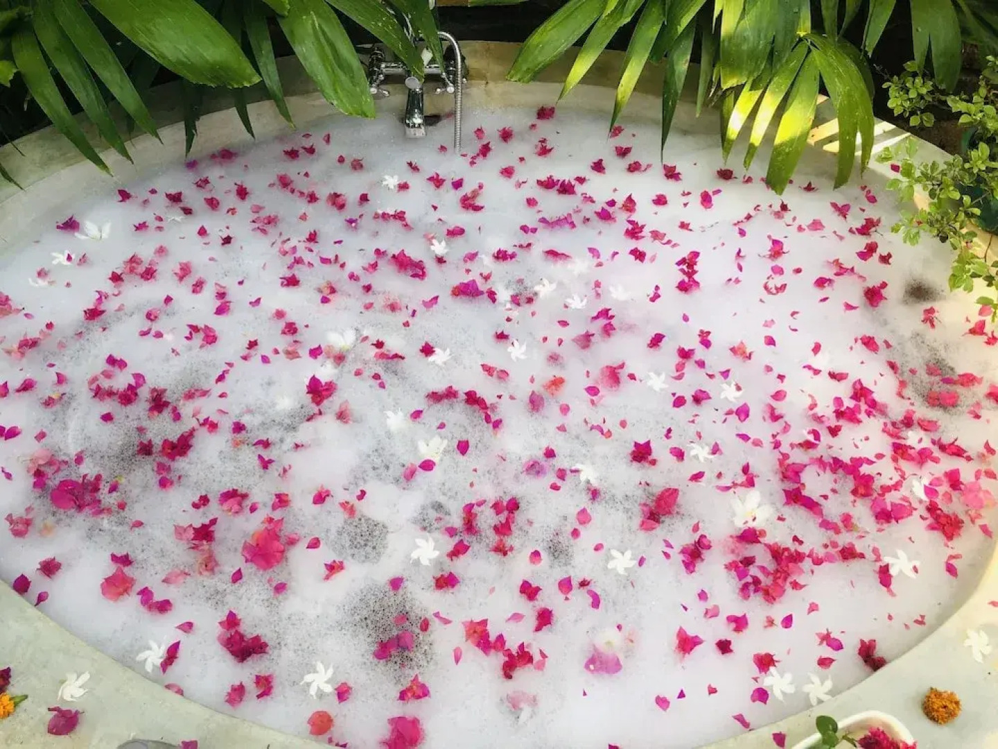 Plumeria Luxury Villas Udawalawe