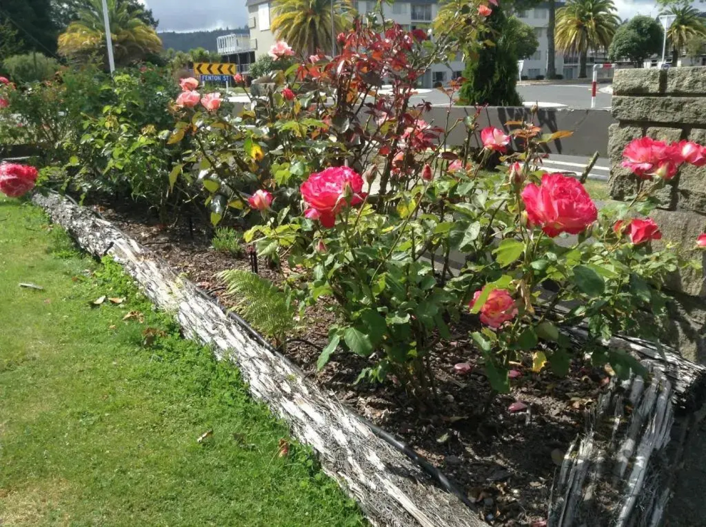 Rose Court Motel, Rotorua