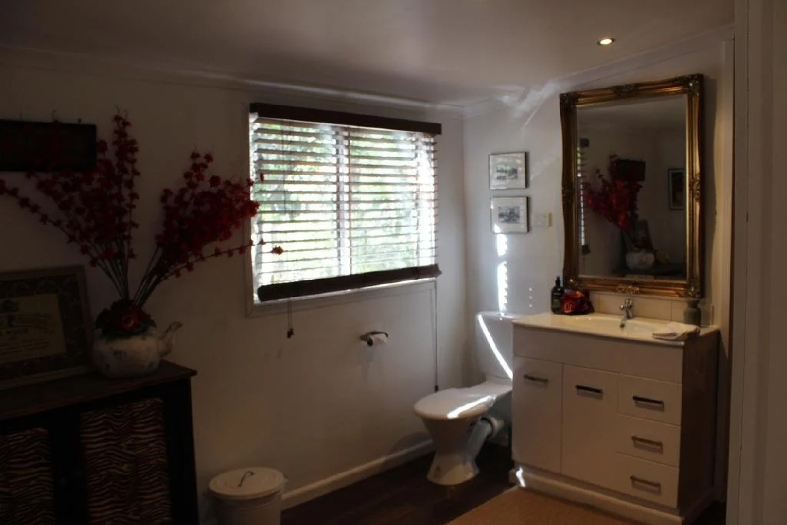 Viola at Hepburn Springs