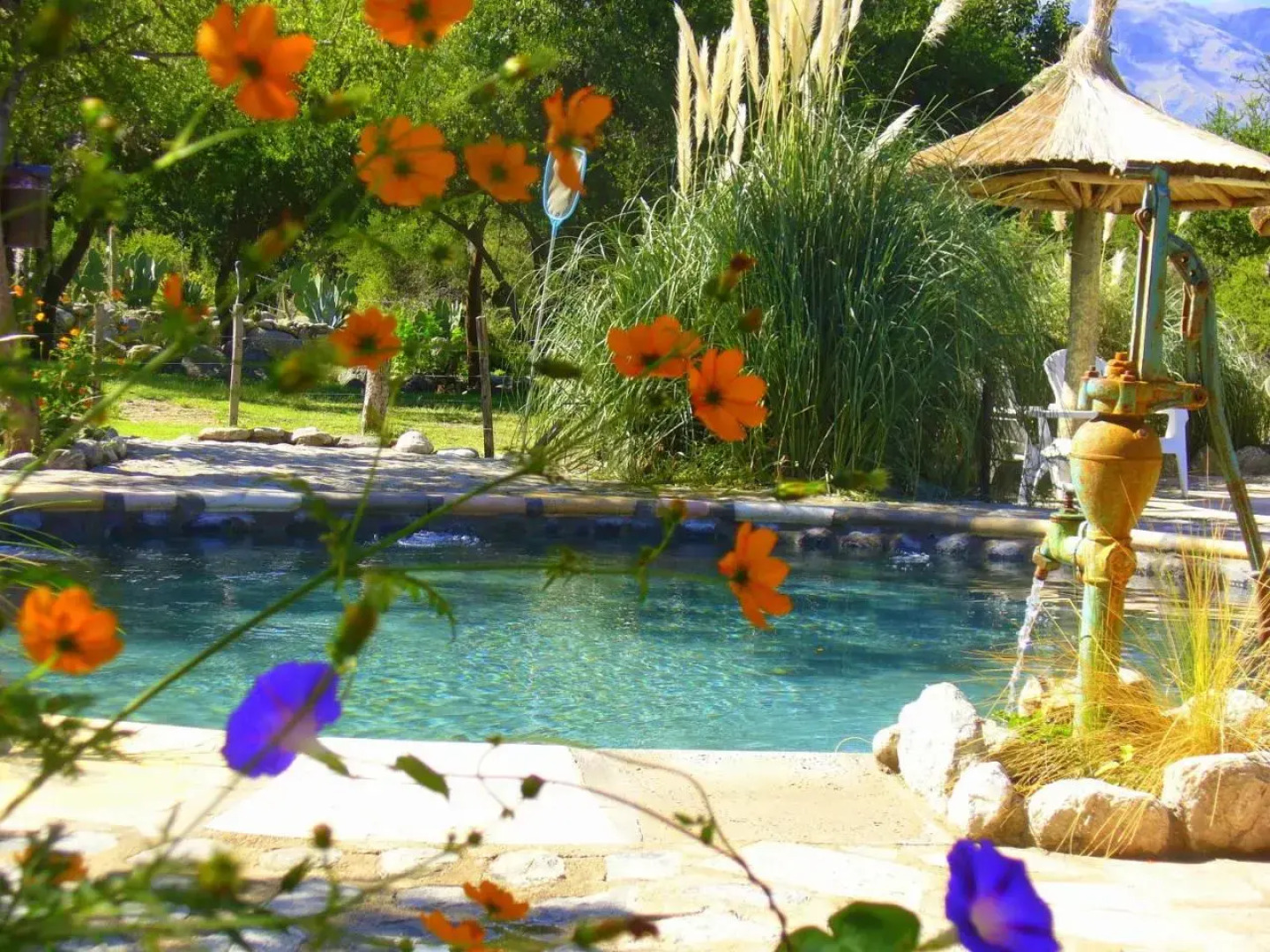 Cabañas en Piedras Maia