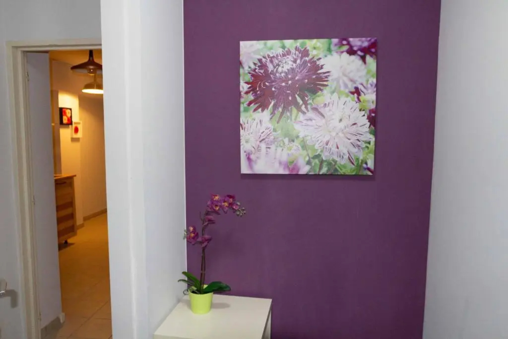 Renovated Apartment in Antwerp